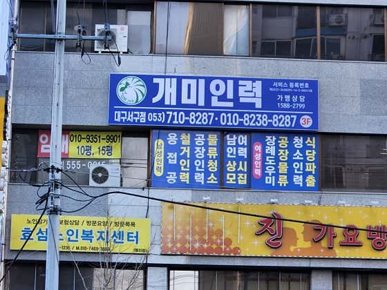 개미인력 이미지