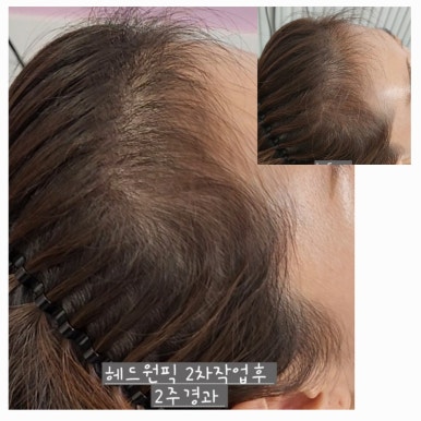 릿따 스타일 이미지