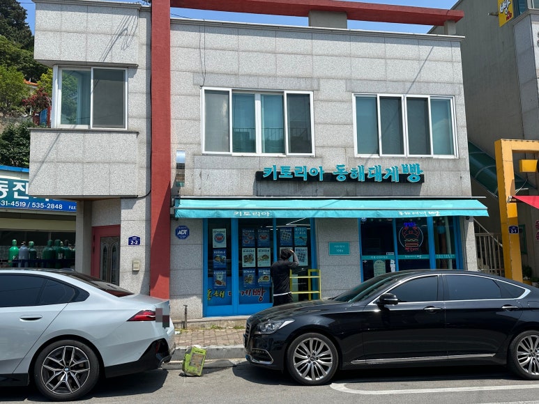 키토리아 이미지