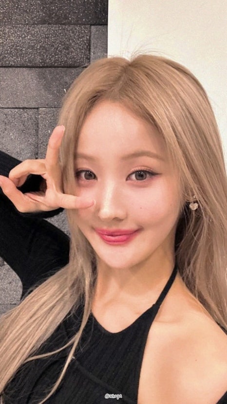 벨헤어 이미지