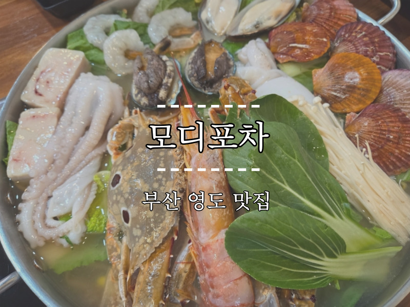 모디포차 이미지