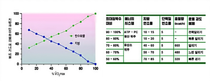 헬스보이짐학동역점 이미지