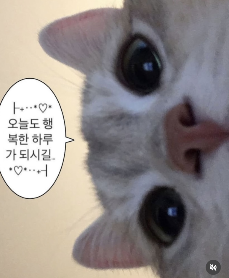 뭉트니스 이미지