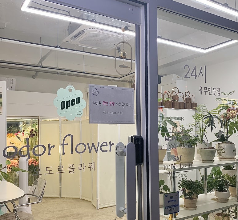 오도르플라워 이미지