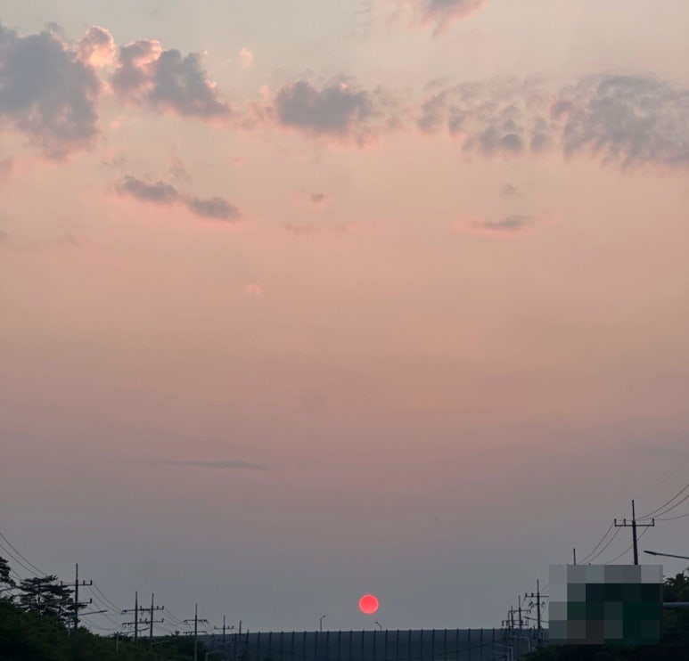 용호분식 이미지