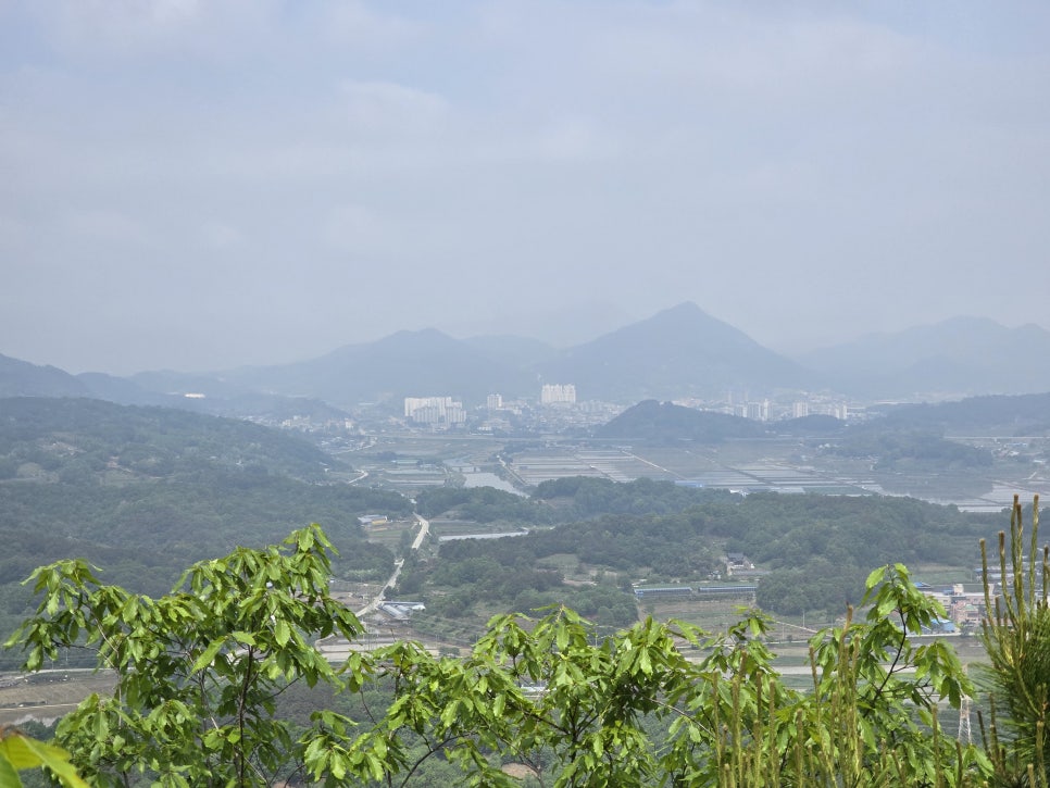섬진강향가수상레저 이미지