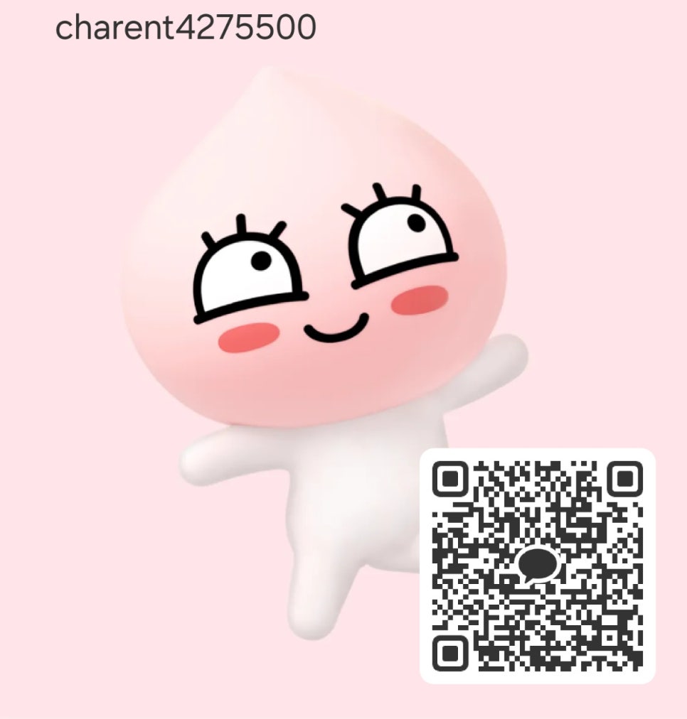 VIP렌트카 이미지