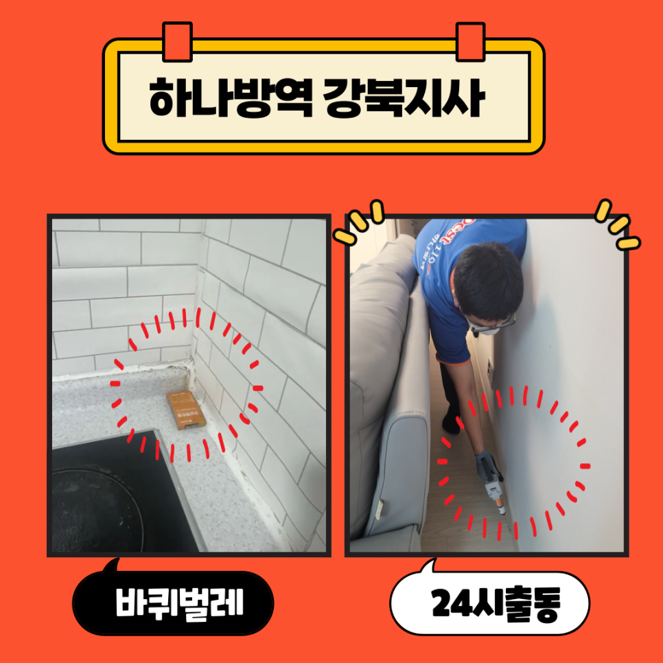 하나방역강북지사 이미지