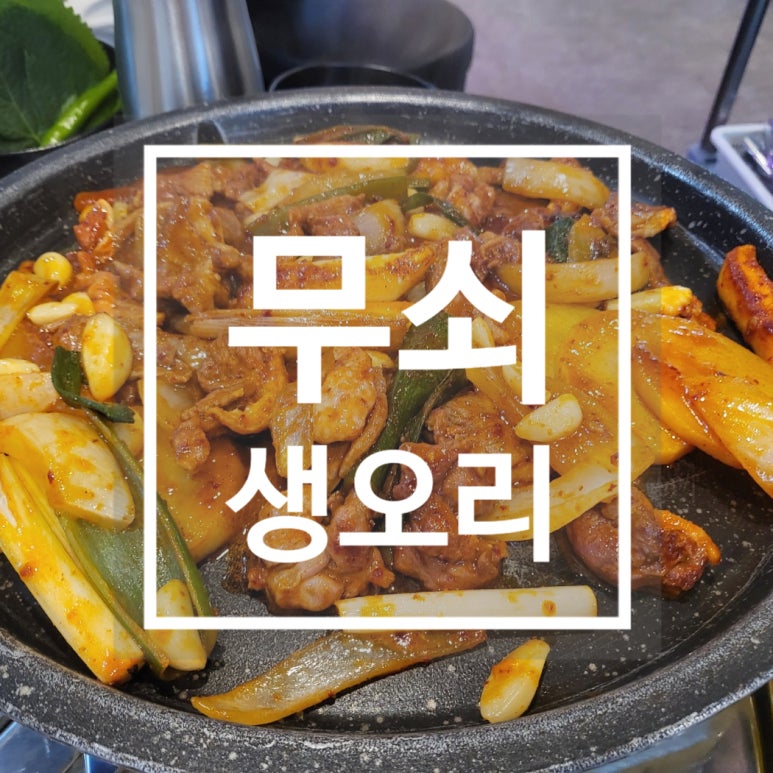 무쇠생오리 이미지