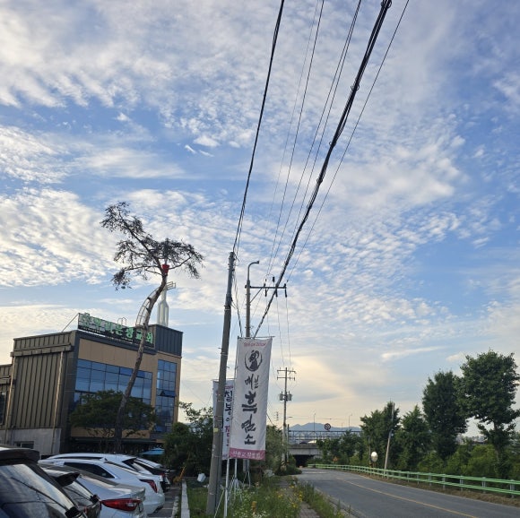 매월흑염소(산동교직영점) 이미지