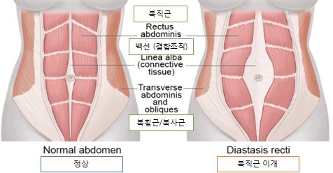 더은 이미지