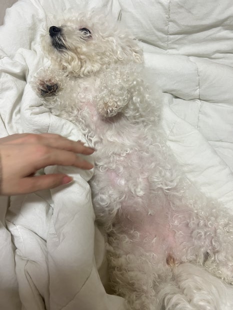 오도카니 이미지