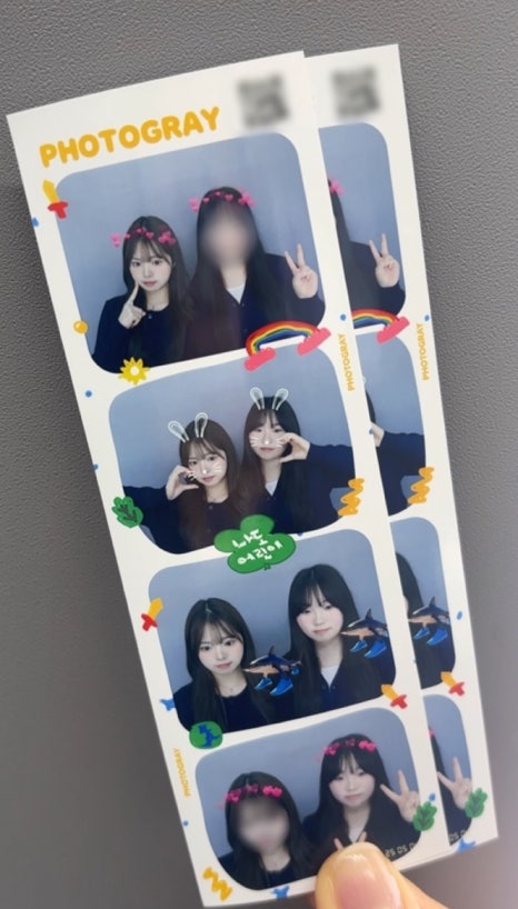 다잇지스포츠 이미지