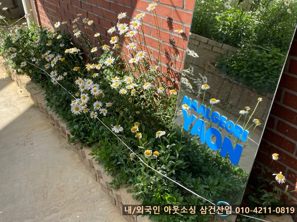 야온 이미지