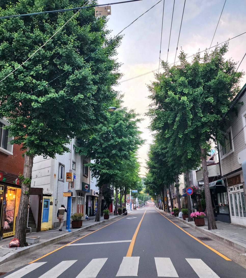 갤러리서피랑 이미지