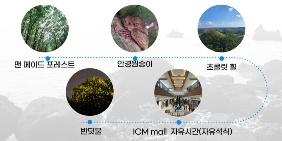 필굿데이 이미지