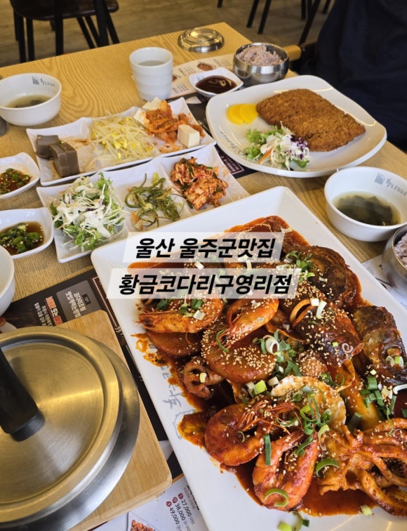 황금코다리 구영점 이미지