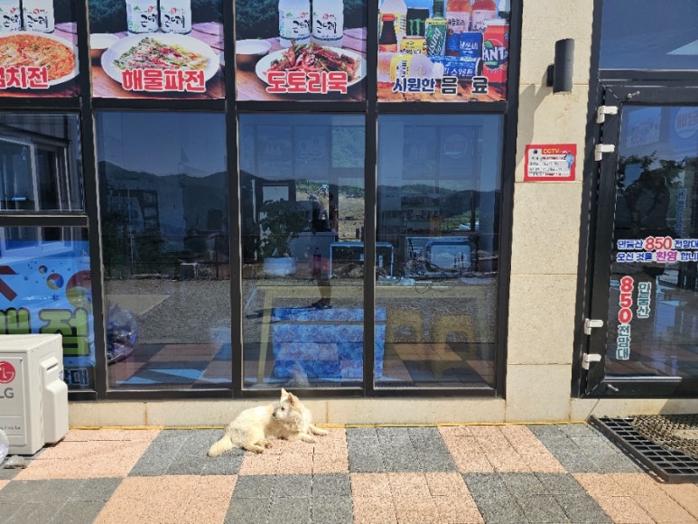 850 전망대 이미지