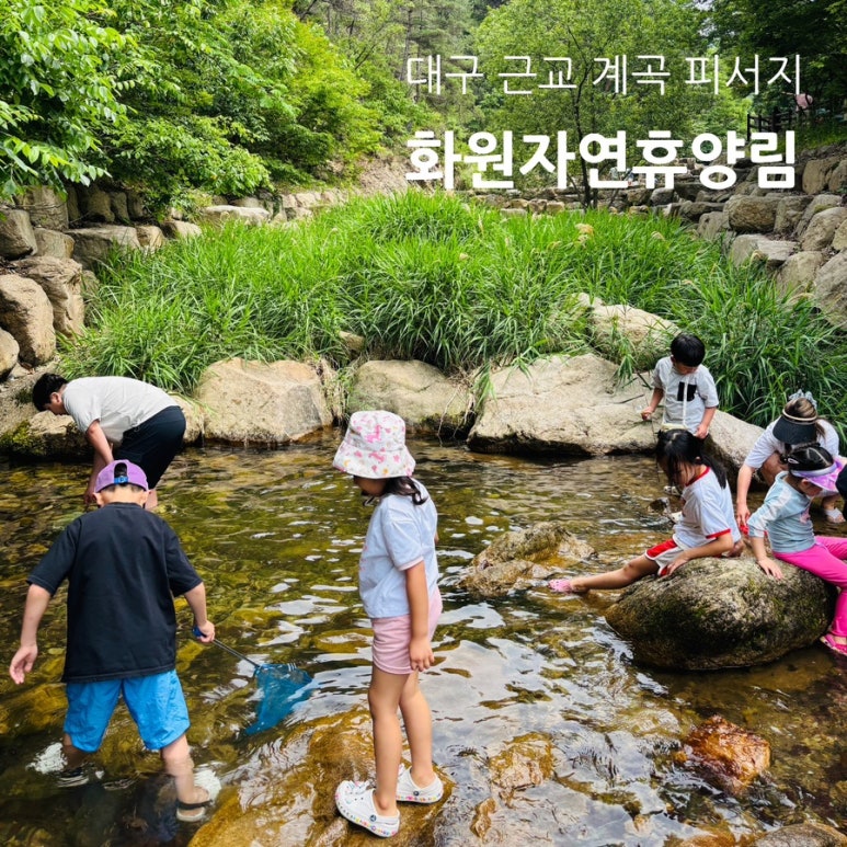 개구리화원 이미지