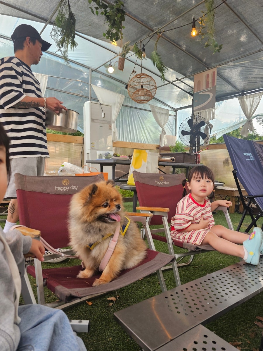 성남 어닝바베큐: 강아지 동반 캠크닉 후기 — 사진 5