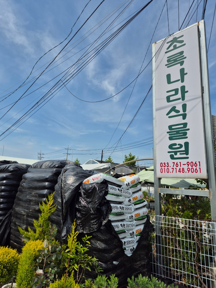 초록나라식물원 이미지