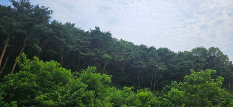 동화카센타 이미지
