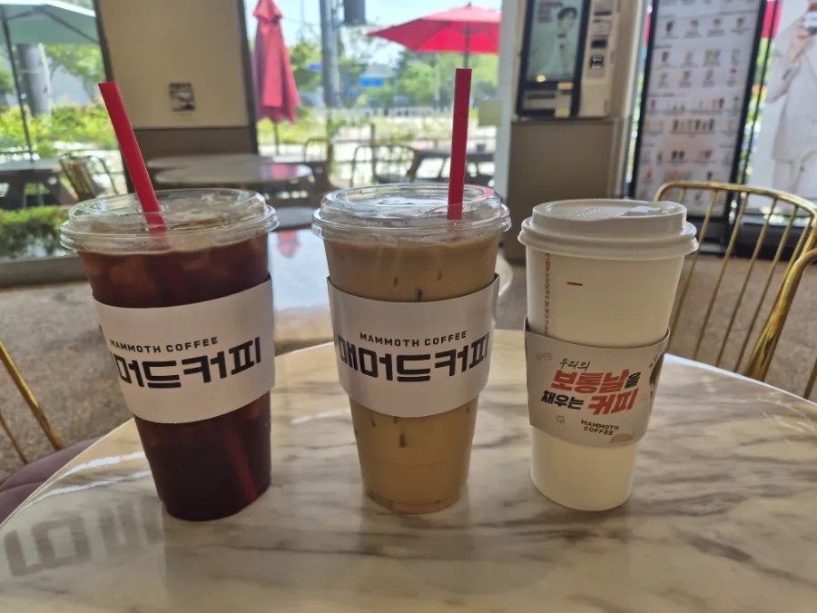 매머드익스프레스고색 이미지