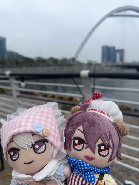 누이즈 이미지