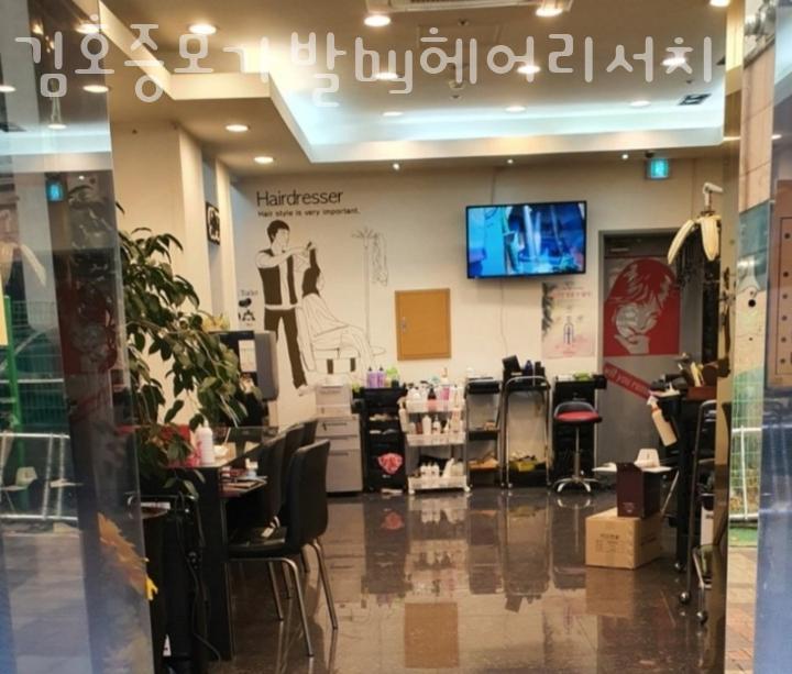 김호증모가발by헤어리서치 이미지