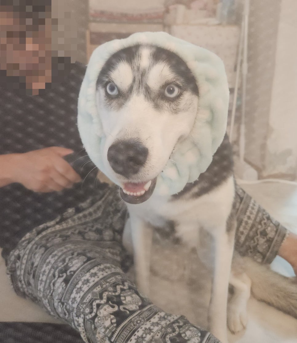 숙희헤어 이미지