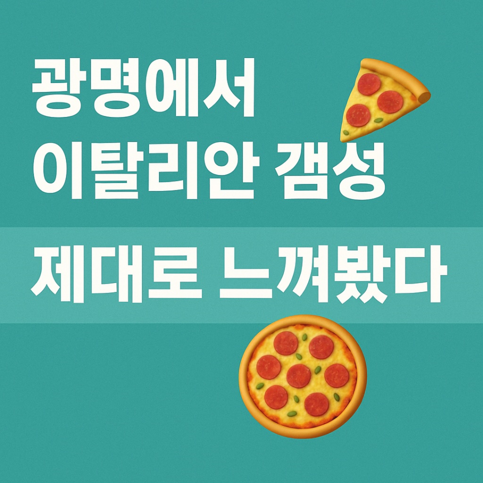 엘시네 이미지