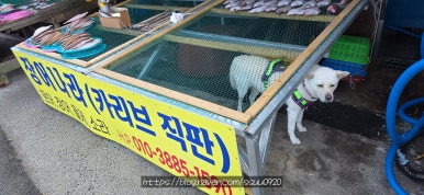 정희네건어물 이미지