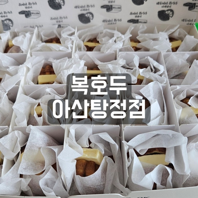 복호두아산 이미지