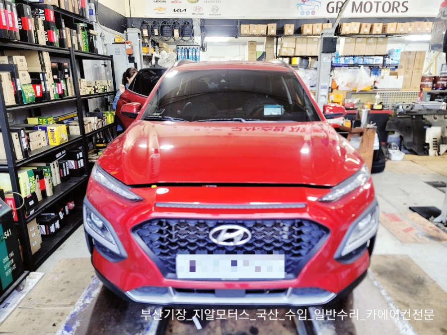 지알모터스 이미지
