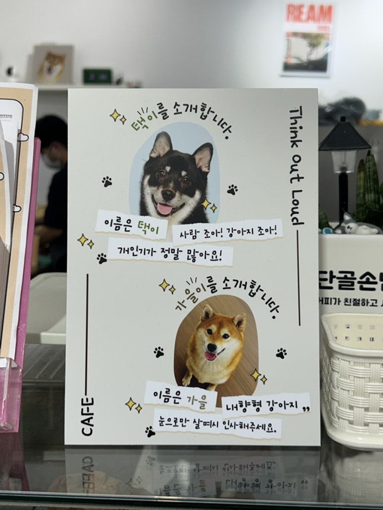 카페라우드 이미지
