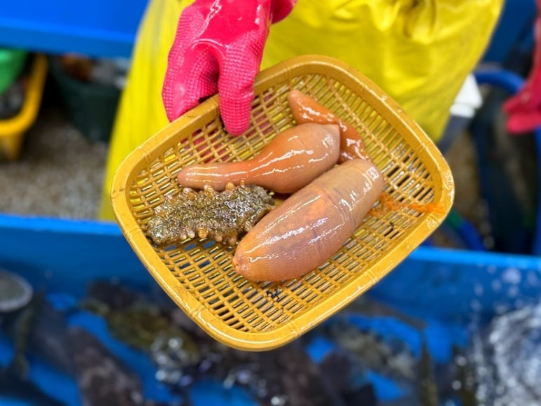 해성상회 이미지