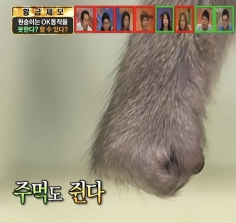 더원악기 이미지