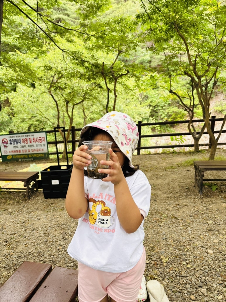 개구리화원 이미지