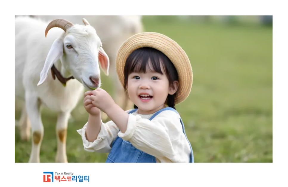 택스앤리얼티세무사 이미지