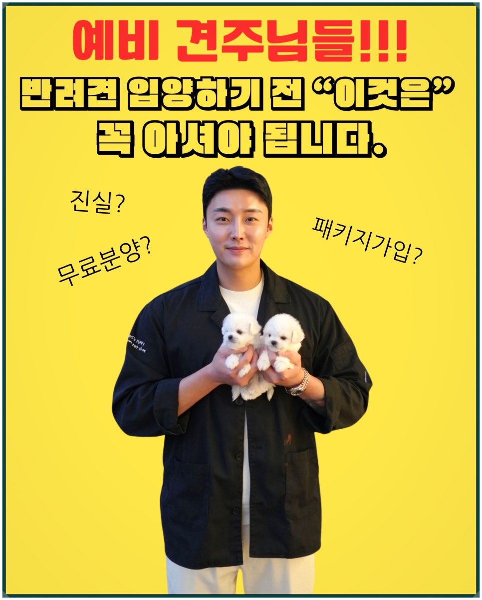 홍스 이미지