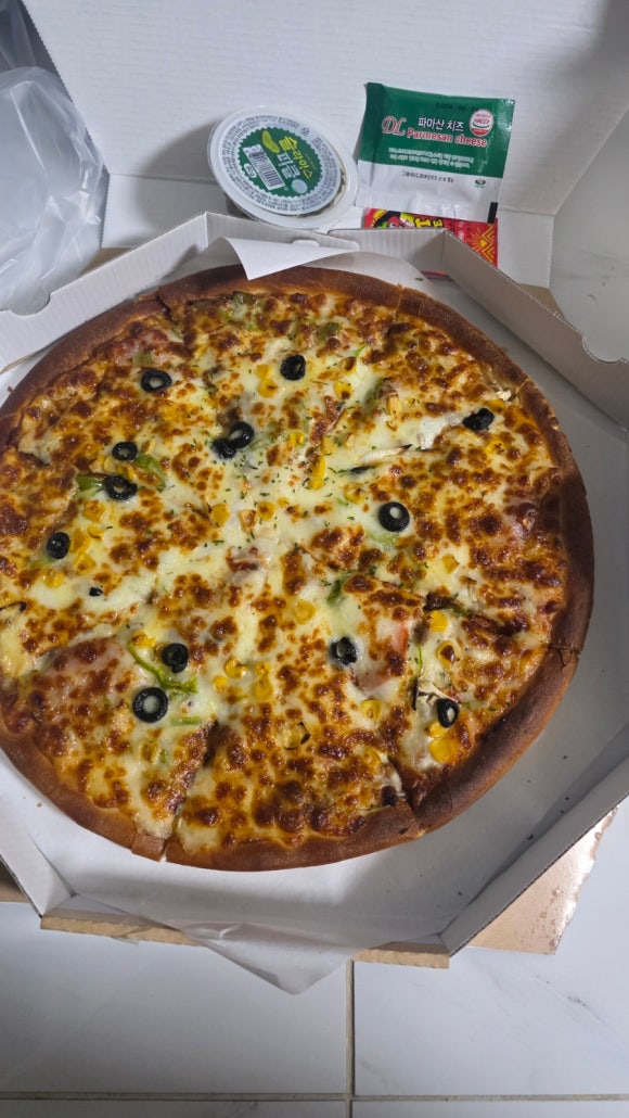 피자캣 이미지