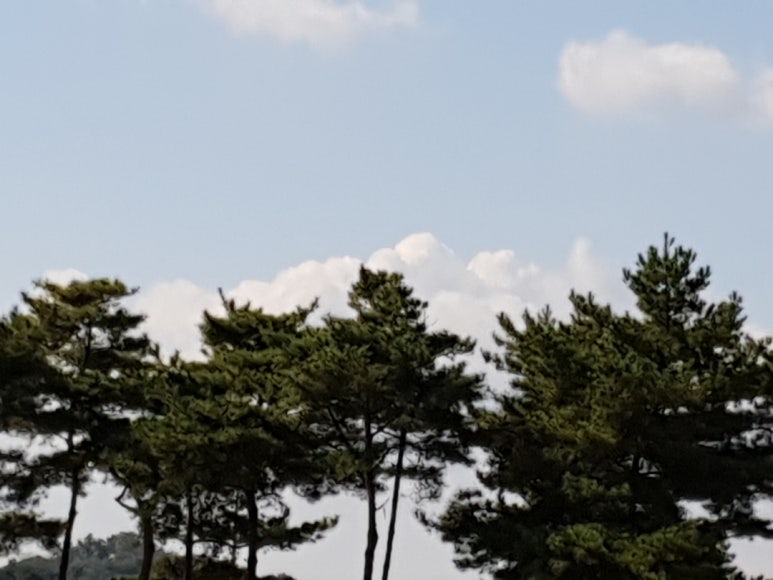 장수타이어이동빵구 이미지