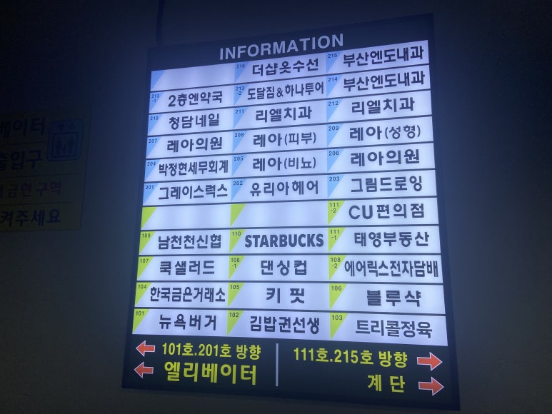 럭스그레이스 이미지
