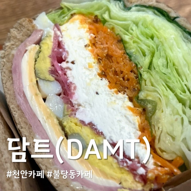 담트 이미지
