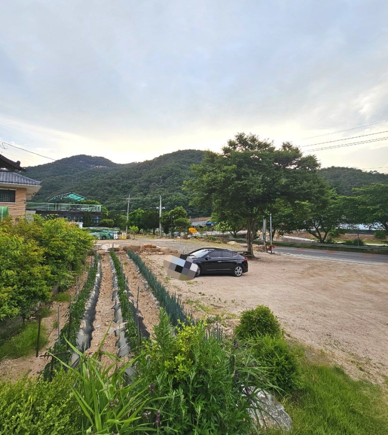 우복동편백펜션 이미지