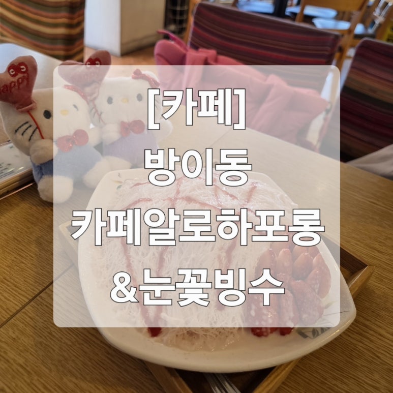 알로하포롱 이미지