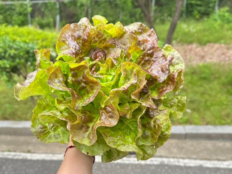 오늘;우리사진관광명철산 이미지