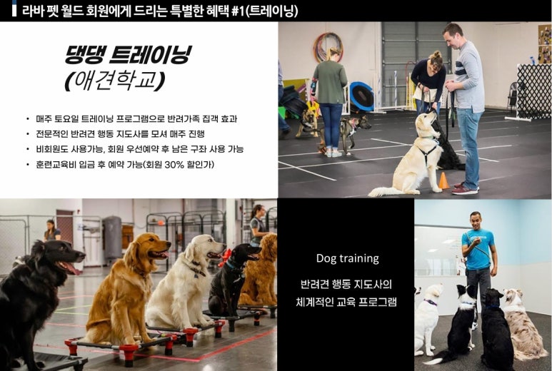 라바호텔 이미지