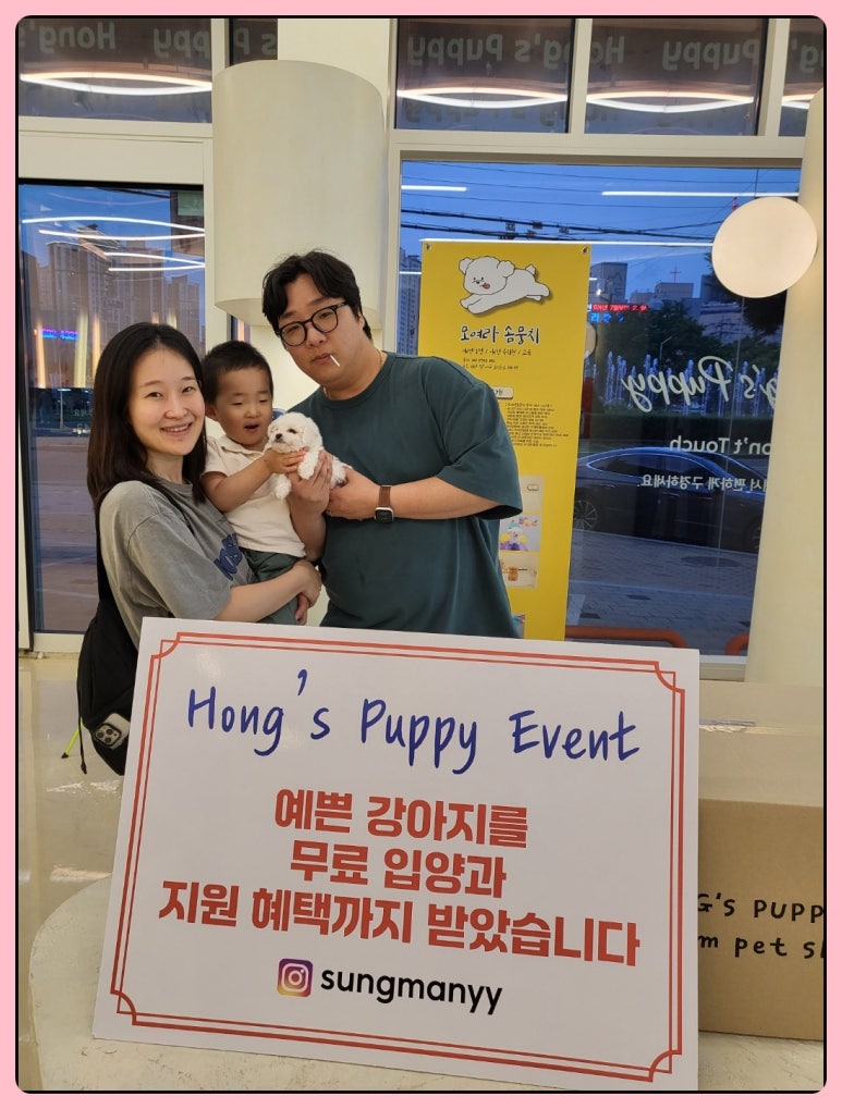 홍스 이미지