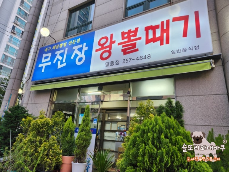 대구뽈찜무진장왕뽈때기 이미지